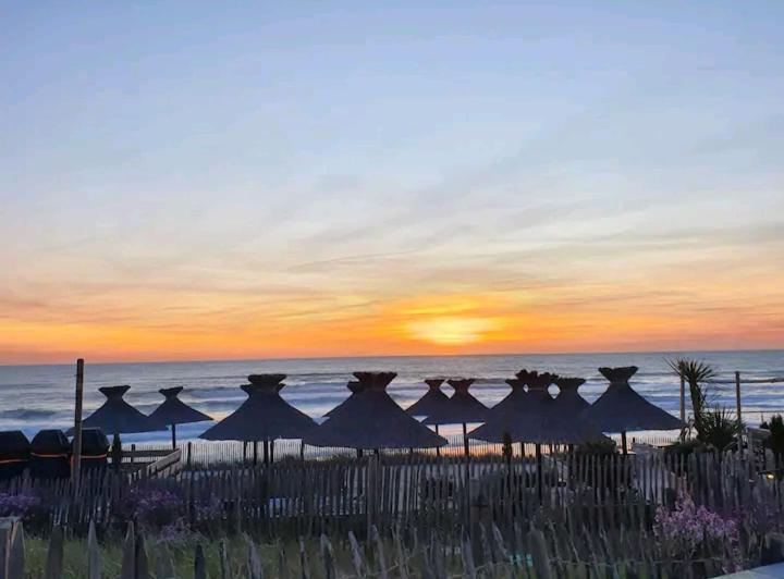 L'Ocean&Dunes Vue A 180° En Bord De Plage Lacanau Dış mekan fotoğraf